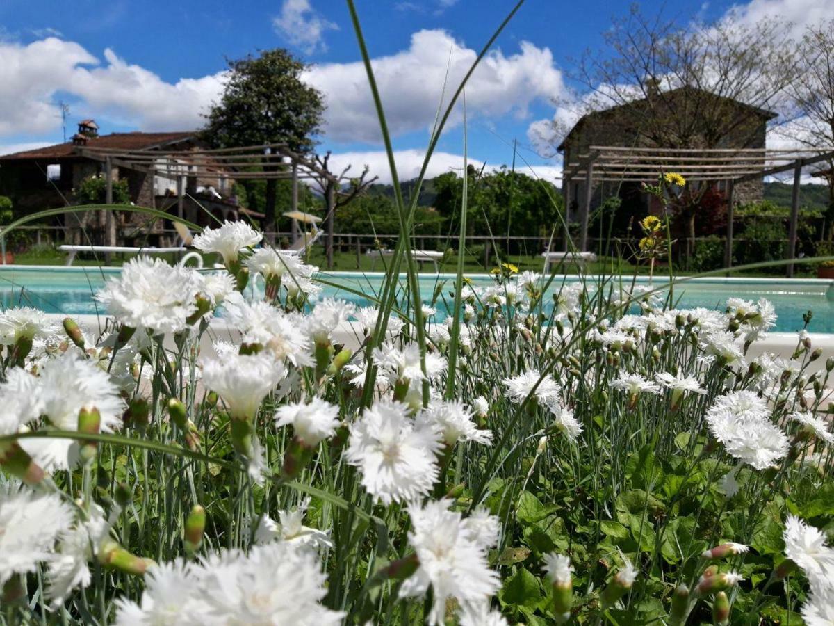 Agriturismo Chioi Барга Экстерьер фото